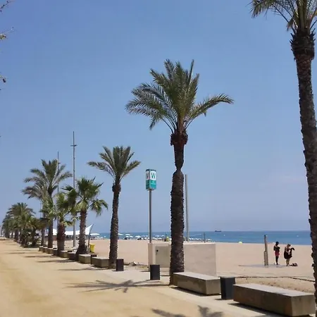 فندق Oasis Park Splash كاليليا