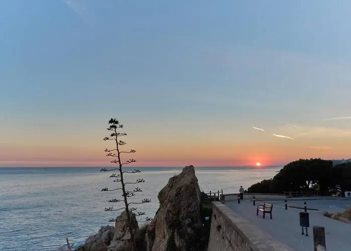 Oasis Park Splash Καλέλα