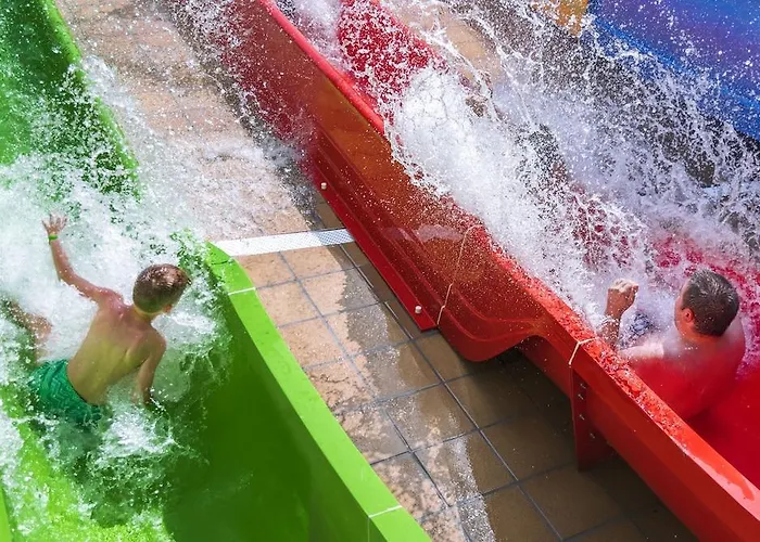 Oasis Park Splash كاليليا